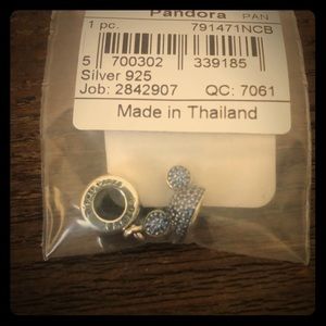 Pandora Disney Parks Charm
